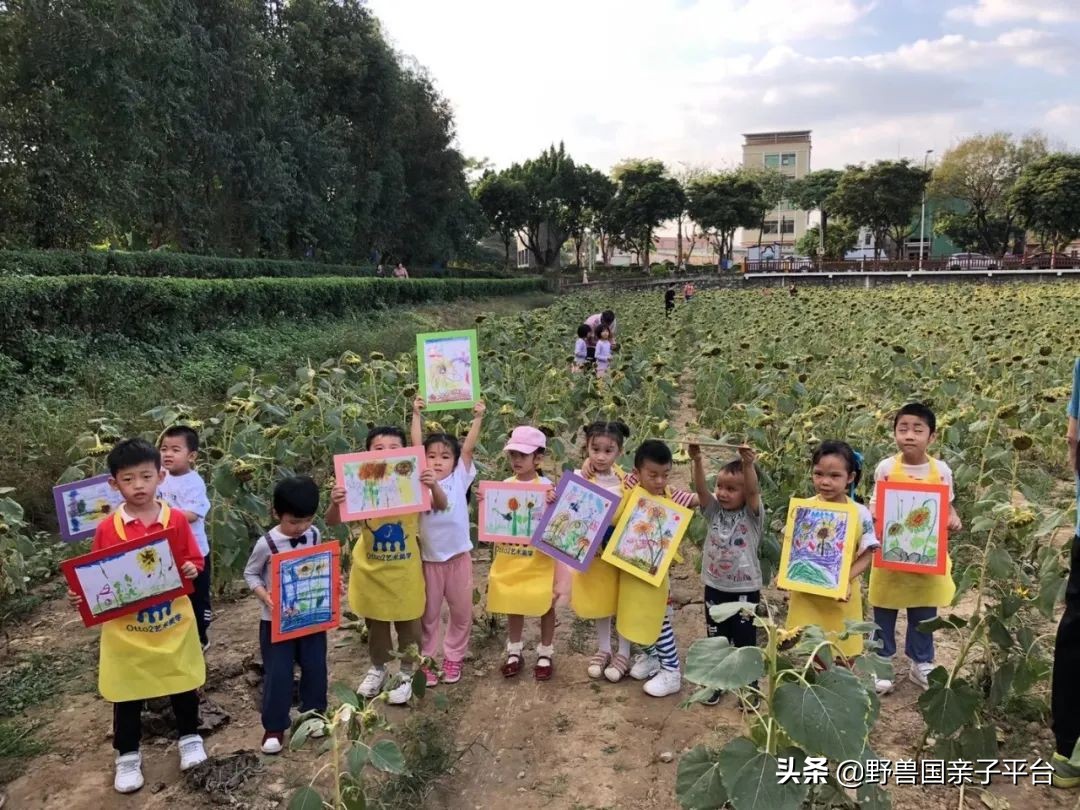 广州学画画机构,东莞学画画排行榜