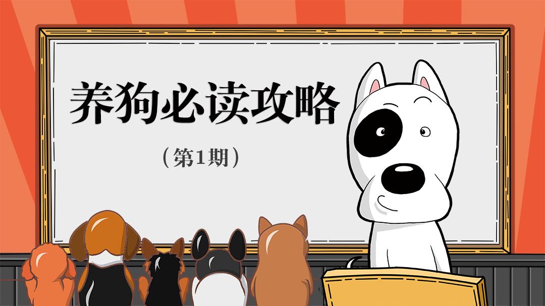 小狗吃巧克力后吃什么不会中毒,小狗吃巧克力后会发生什么症状