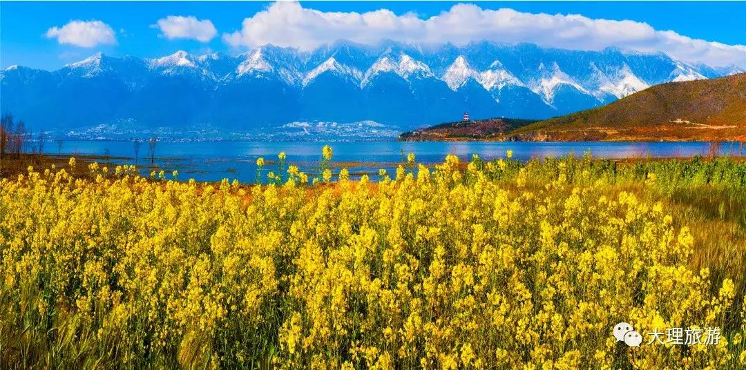 大理洱海两日游攻略,大理洱海一日游最佳攻略图