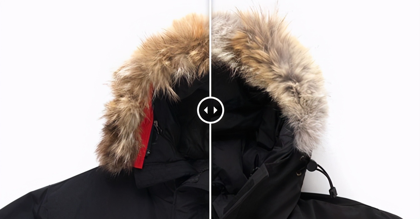 十件大鹅九件假四招教你辨真假,十件大鹅九件假是什么意思