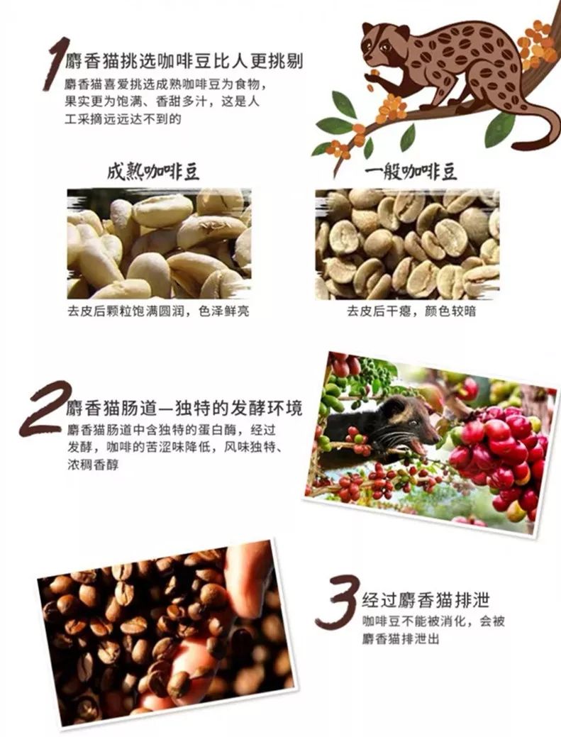 逛街必喝的茶排行榜,特色猫屎咖啡