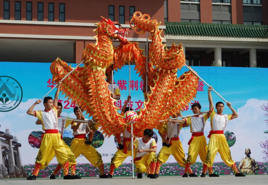 报考华南农业大学,华农报录比