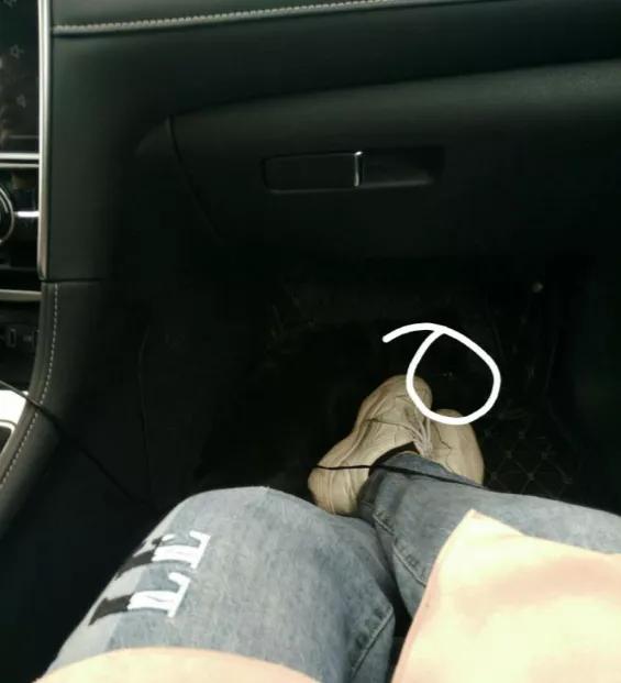 养狗真实感受图片,养狗真实的感受