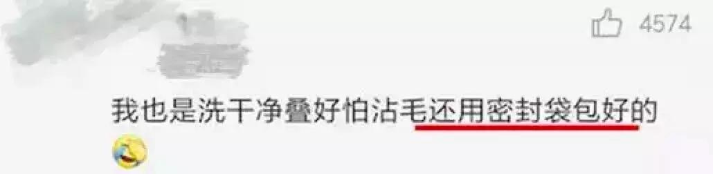 交易猫被央视曝光,收养流浪狗的真实记录