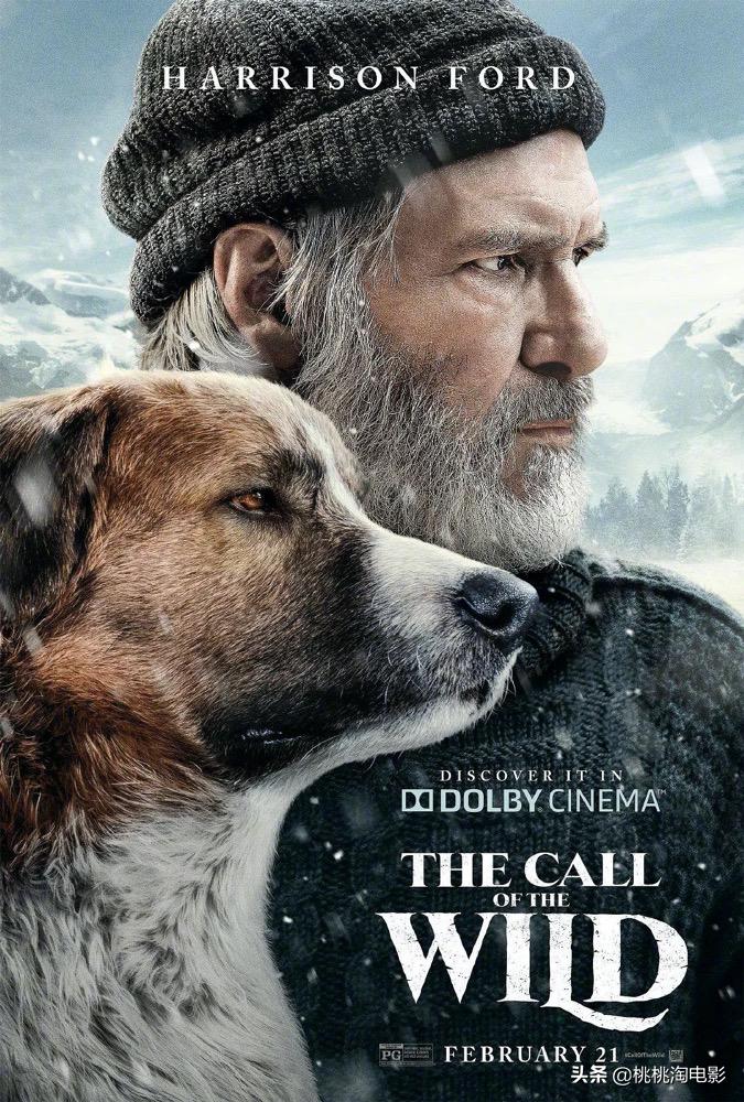 推荐几部电影打发一下无聊时光,看什么电影能更好的打发时间