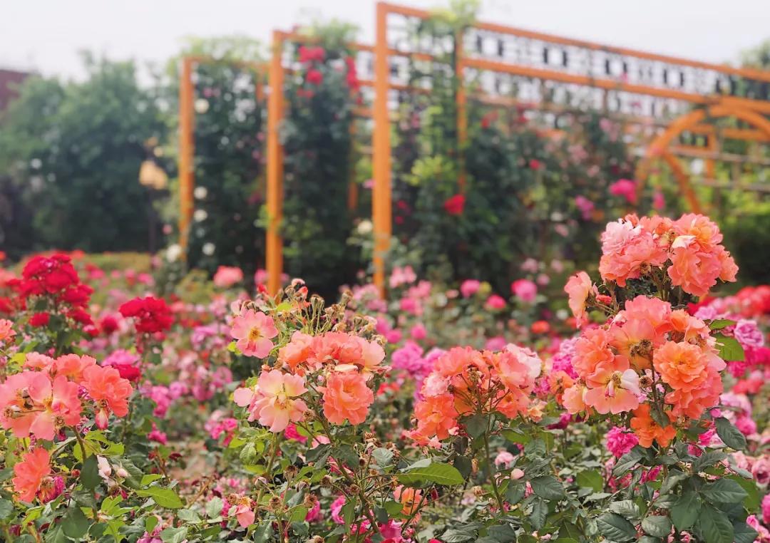 西安马尔代夫沙滩在哪里,西安马尔代夫图片