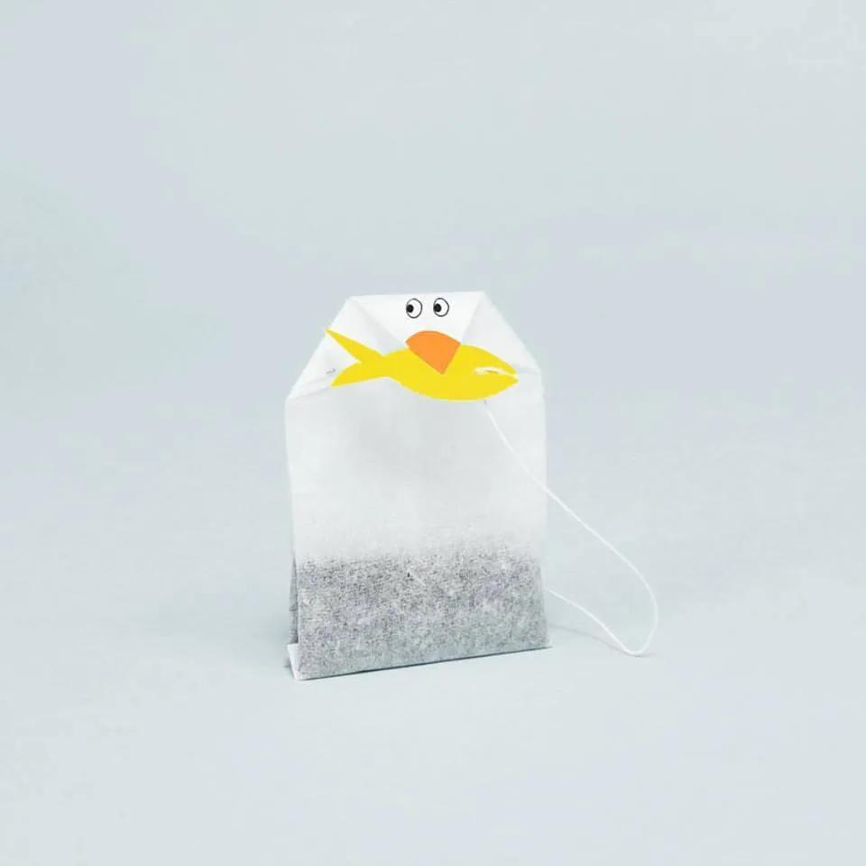 菜狗设计师,菜狗主理人