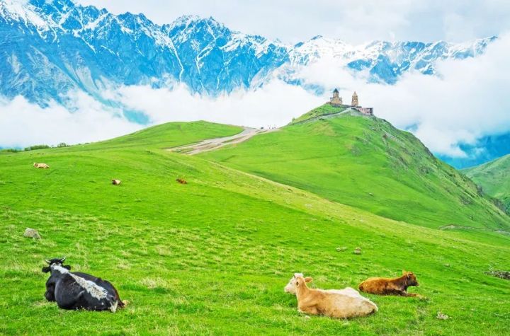 那些美到窒息的场景,那些美到让人窒息花海