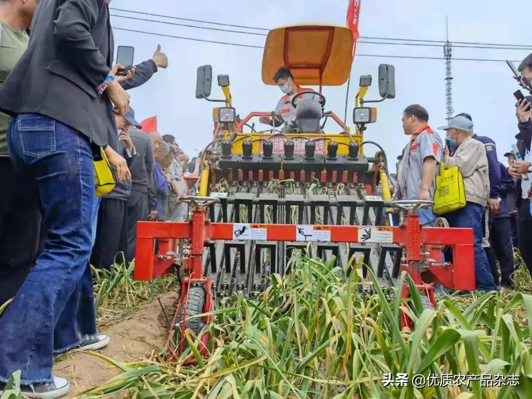 种大蒜机械化,大蒜全程机械化种植