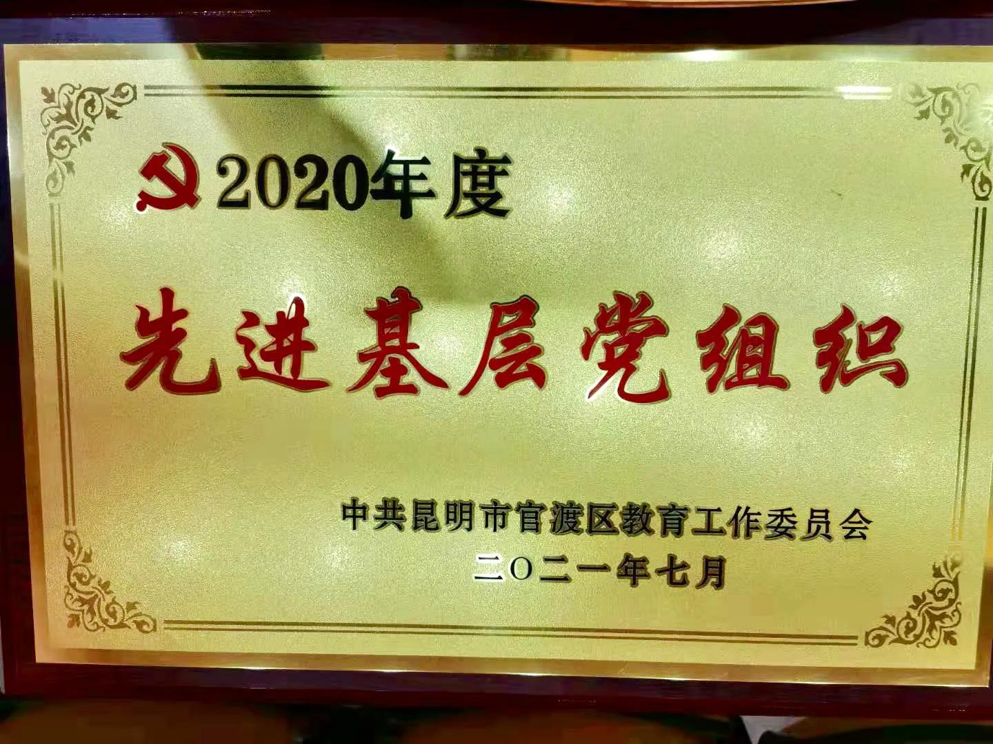 迎七一庆百年主题党日活动,建党百年七一庆典活动