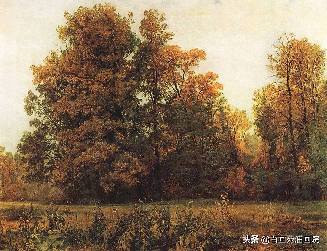 简单油画初学者画树,油画画树叶丛的技巧