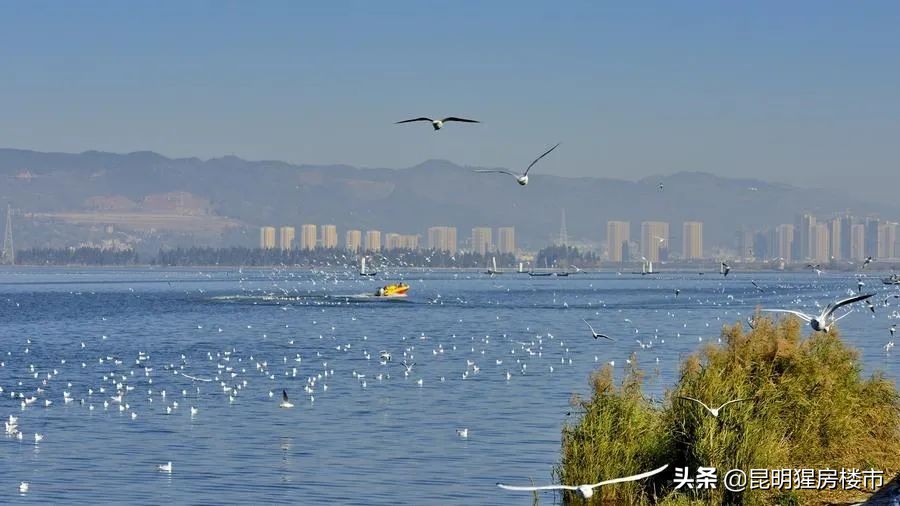 滇池南岸未来5年房价,相隔一条街房价差3000一平方