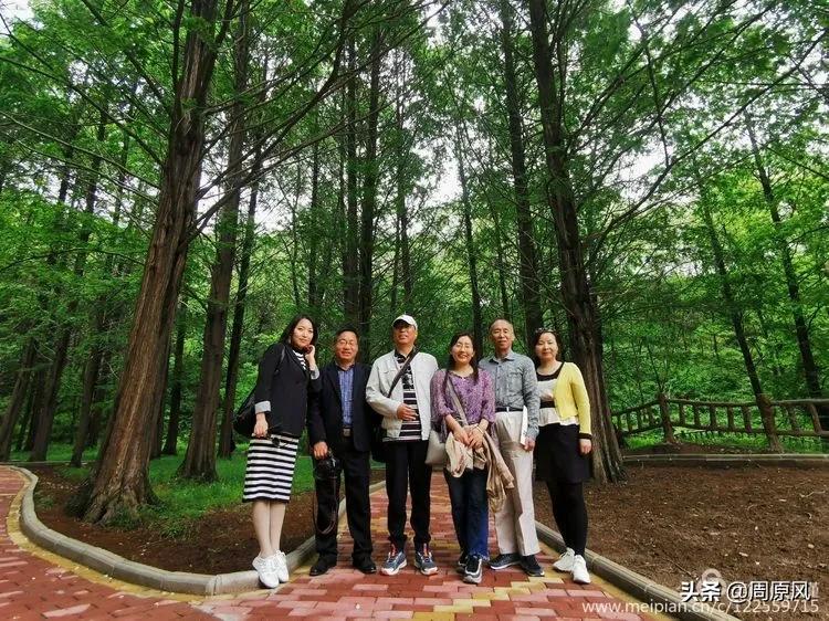 赴一场春日的邀约,五月赴一场与槐花的约会