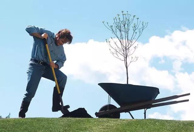 面子多少钱一斤抖音版,面子多少钱一斤经典语录