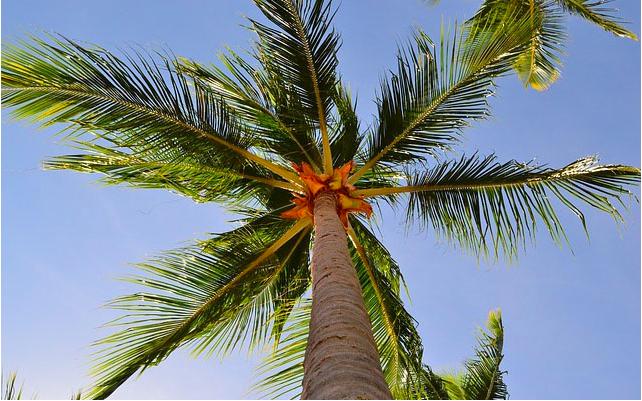 世界十大最偏僻地方排名,世界上最偏僻的国家是哪