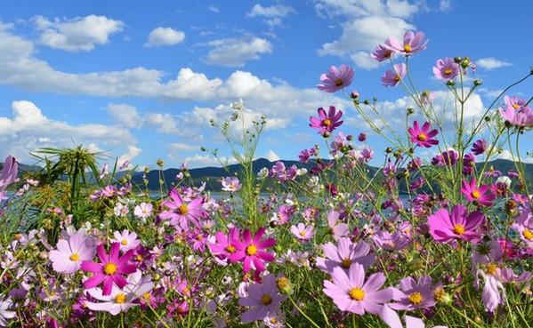 在成都去云南旅游攻略路线,2月份云南旅游攻略路线