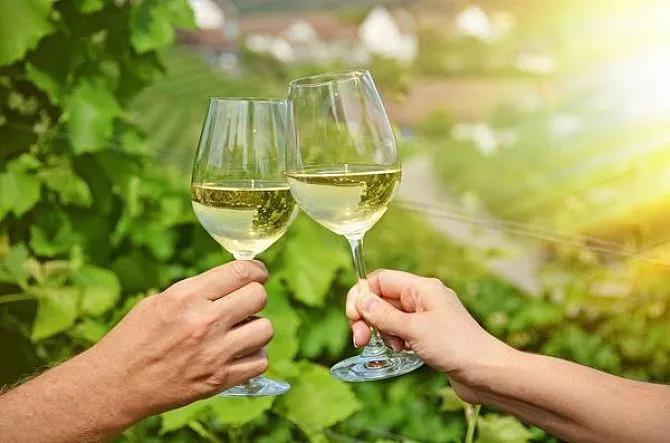 德国葡萄酒庄园,德国葡萄酒品种介绍