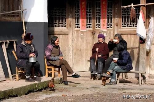 不怕蛇过门就怕香椿高过房啥意思,不怕蛇进门就怕香椿树过高啥意思