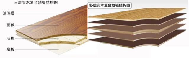 柚子皮跟绿萝哪个去除甲醛效果好,洋葱柚子绿萝去甲醛有用吗