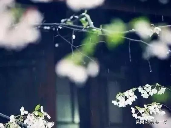 读懂南怀瑾先生经典的22句话,南怀瑾三句话说透了人生最高境界