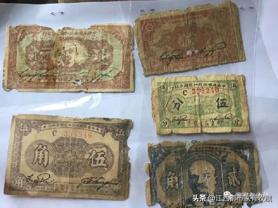 斗宝大赛决赛,斗宝大赛2019夺冠