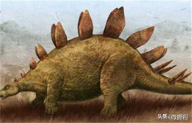 什么恐龙是恐龙世界最厉害的恐龙,恐龙世界最强大的恐龙是什么恐龙