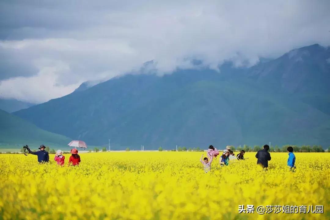 五脏养生的四季规律,五脏与体质养生