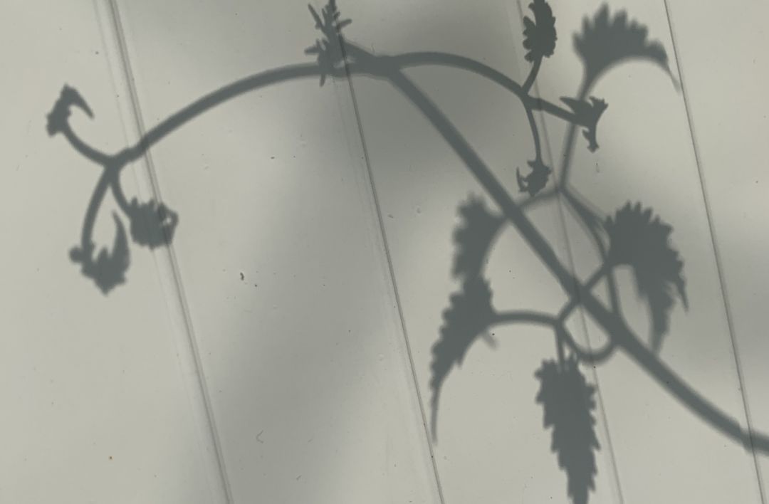 按头安利!5块钱淘宝好物,解决最难搞的收纳问题