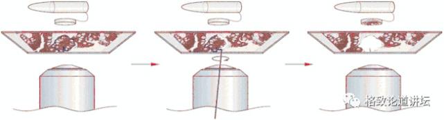 在未来，再生医学能够对我们身体“零件”进行直接的更换？