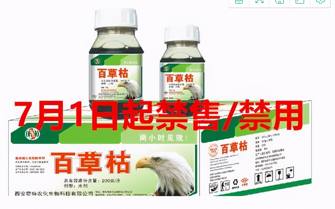 百草枯的毒性有多大?如果不慎误服一口,身体会发生怎样的变化?