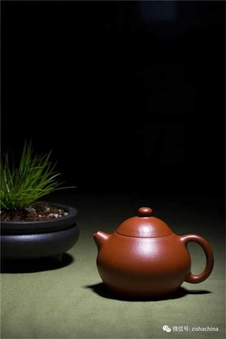 同卵双胞胎是同性还是异性,同卵双胞胎的dna一样吗