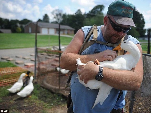 疫情中的替代性创伤,疫情替代性创伤