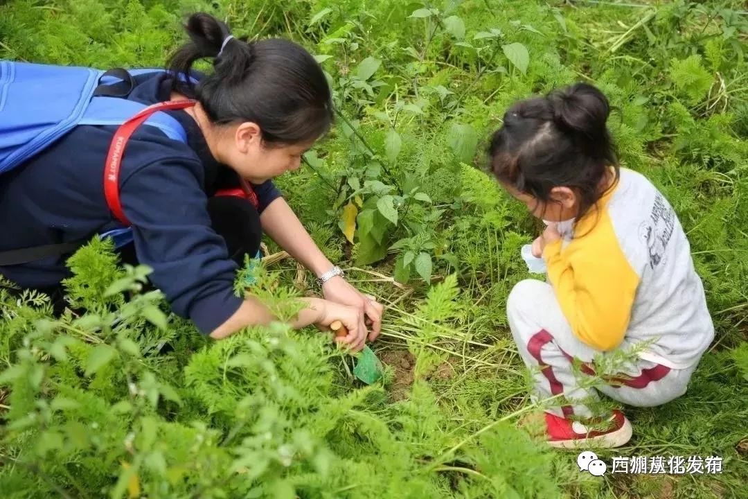 这个暑假去哪个地方玩不热,这个季节去从化有什么好玩的