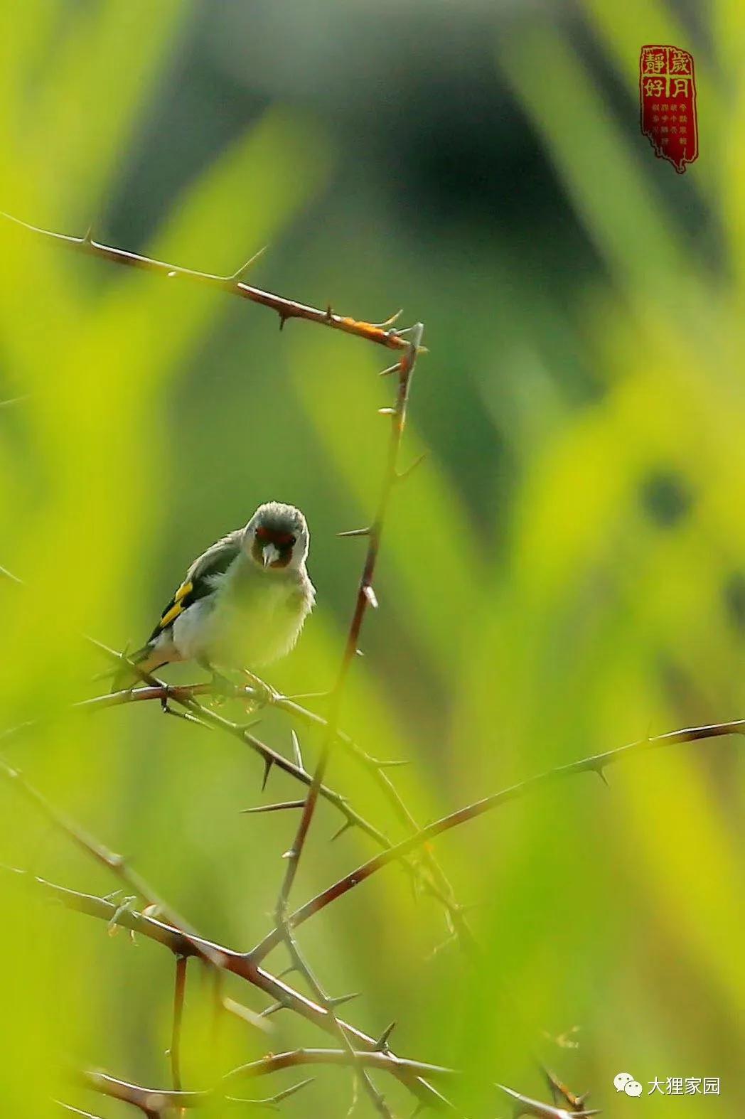 带娃的日子有滋有味,日子过得有滋有味广场舞