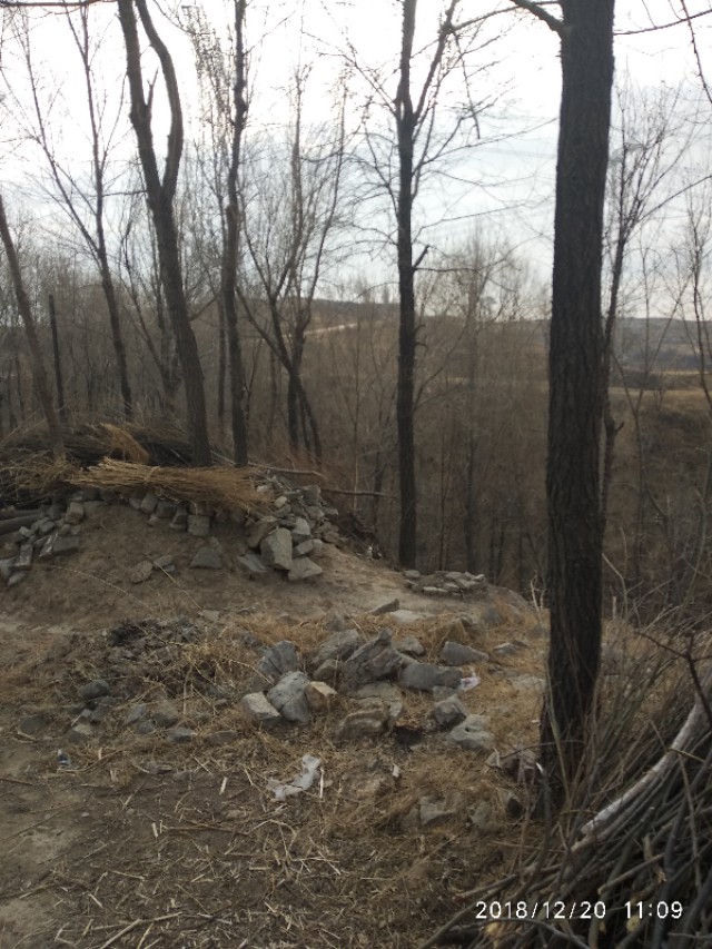 如何让自己的家乡乡村振兴,如何让小村庄快速崛起