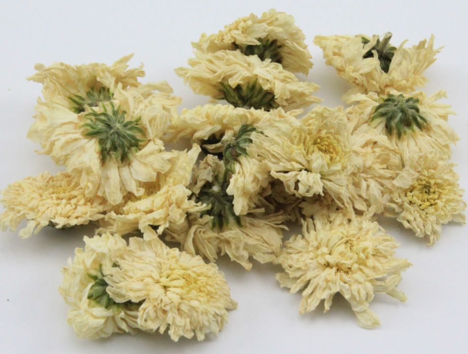 中药野菊花功用,每日中药