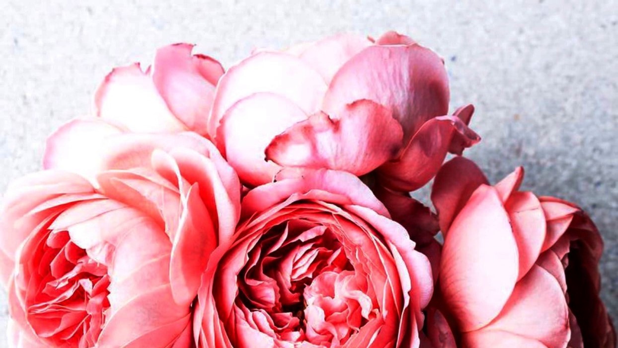 人生经典句子句句正能量走心励志,走心励志短句激励人心正能量文案