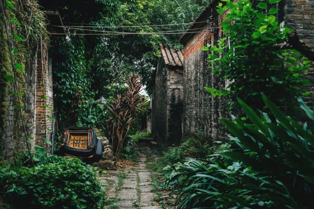 吴彦祖拍的劲爆电影,吴彦祖最新片