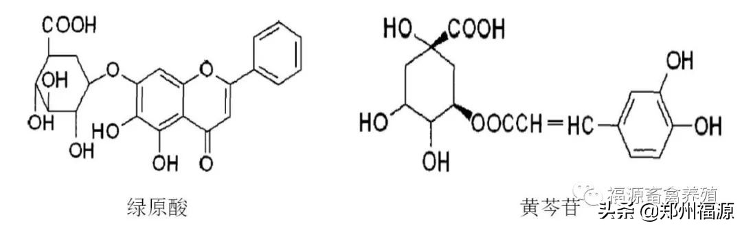 福源补气血口服液,福源保健品