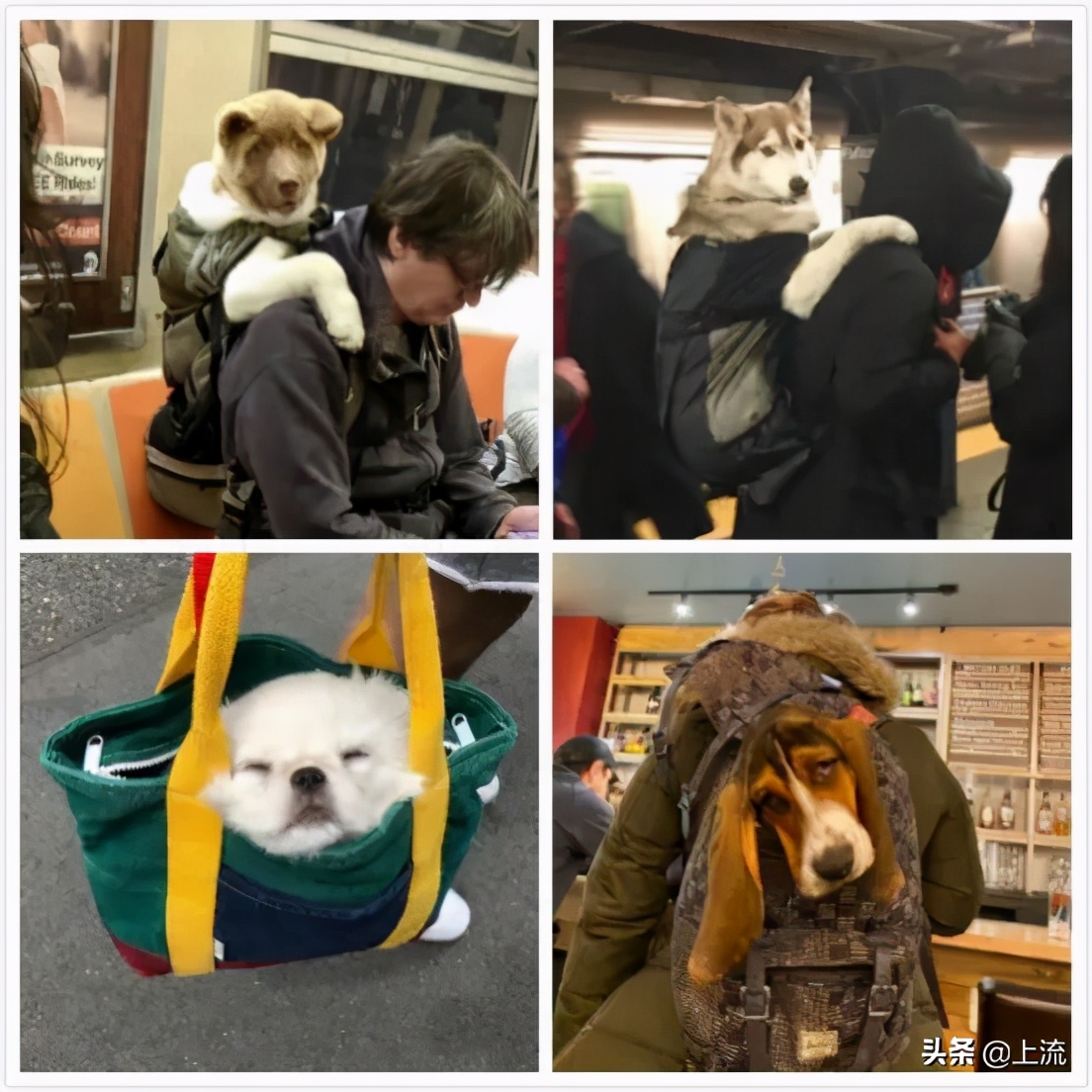 宜家为什么便宜,为什么宜家白色柜子便宜