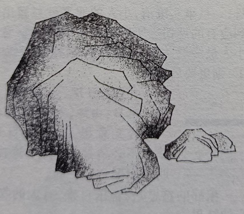 毛*东泽**Vs蒋中正之(1)名字里的玄机