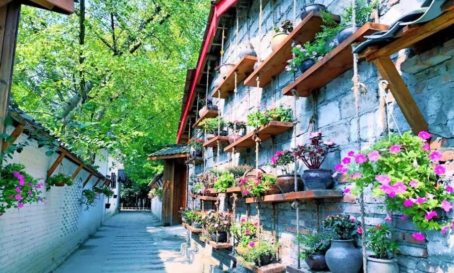 假期倒计时!推荐这条适合全家的乡村游线路