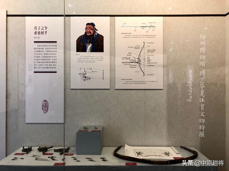 古代的体育运动你知道多少？郑州博物馆看华夏体育*物文**特展