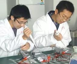 分子构建的正确流程是什么,分子构建最新技术