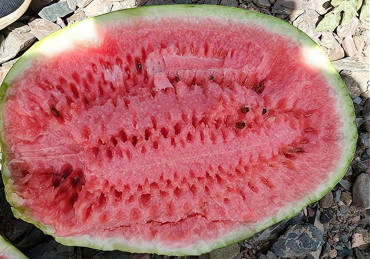 很受欢迎的一种西瓜,生长在石头缝里,明年或被禁种,吃不到了