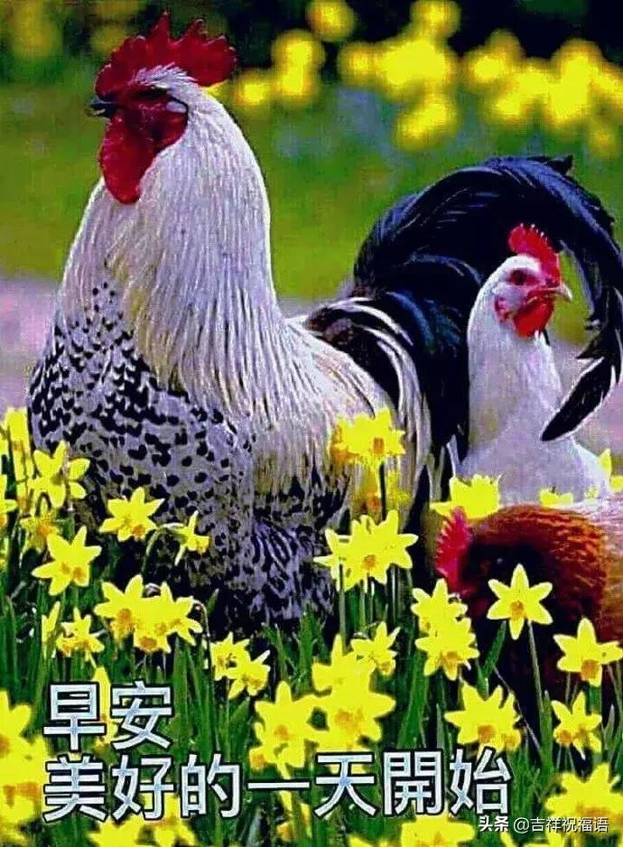 暖心祝福早上好的问候语,冬天早晨问候早上好的暖心句子