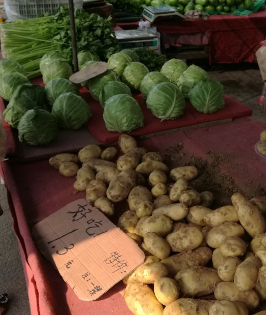 漫山花如雪,风吹暗香来