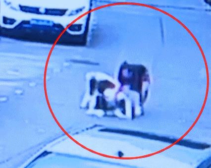 犬病的发现及护理常识,犬伤处置规范最新指南