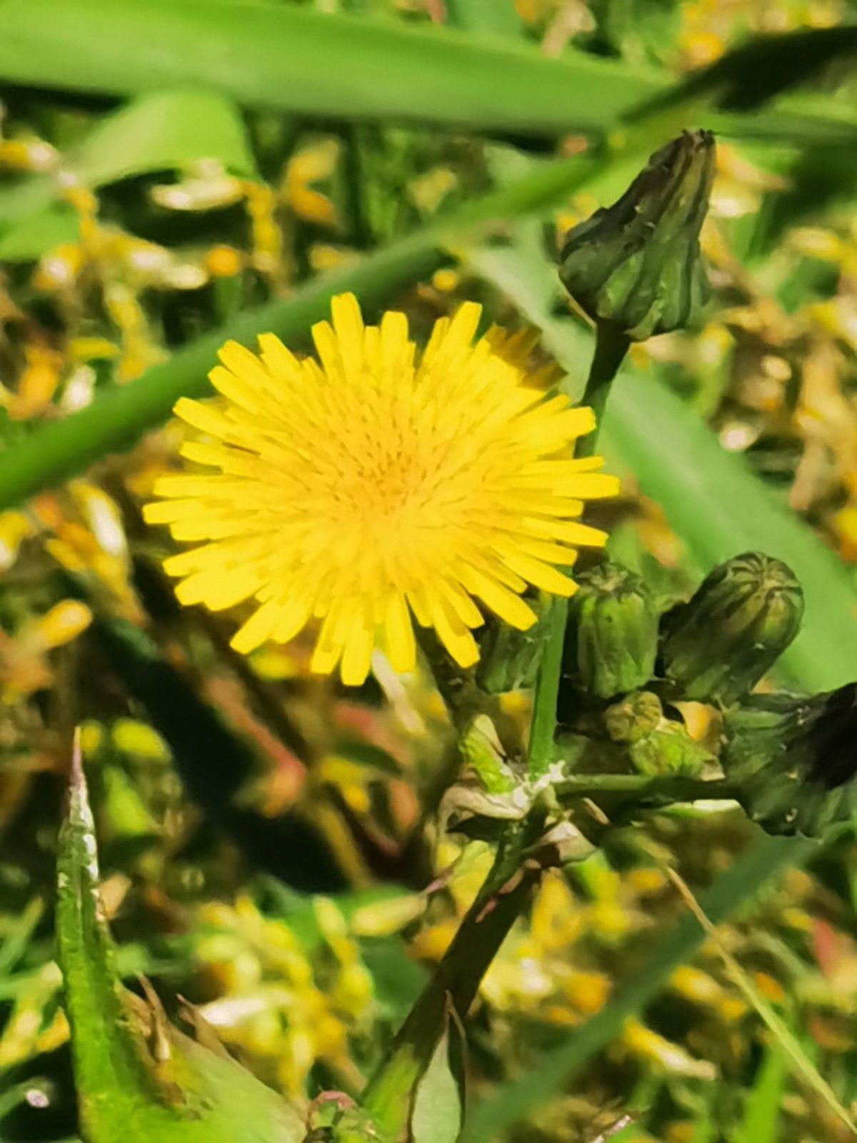 2022黑马星座,2021年运势最好的黑马星座