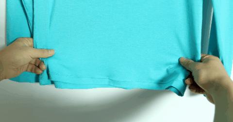 薇娅郎朗,薇娅和吉娜现场